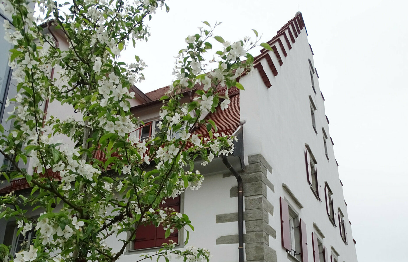 Detailaufnahme der Fassade des Rainhaus Lindau