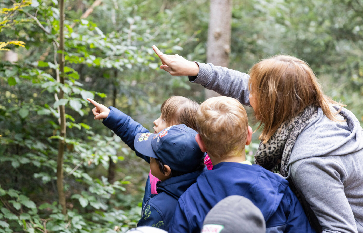 Eine Gruppe Kinder mit Betreuerin auf einem Waldspaziergang