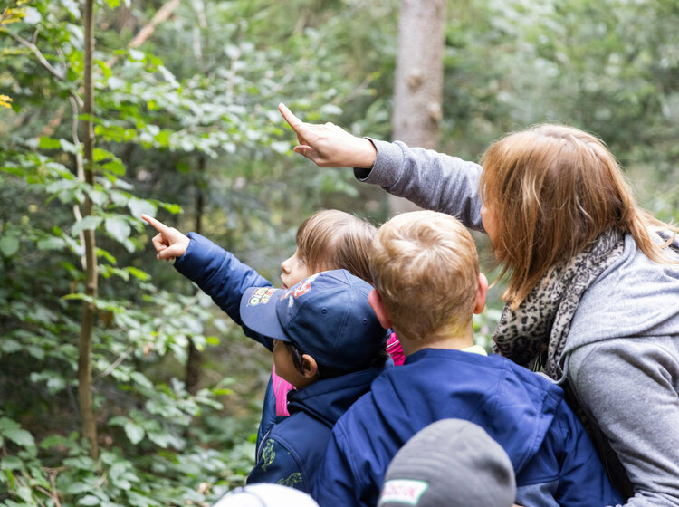 Eine Gruppe Kinder mit Betreuerin auf einem Waldspaziergang