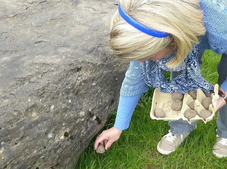 Eine Frau platziert Samenbomben auf einer Wiese